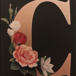 Meet your Posher, Chandra